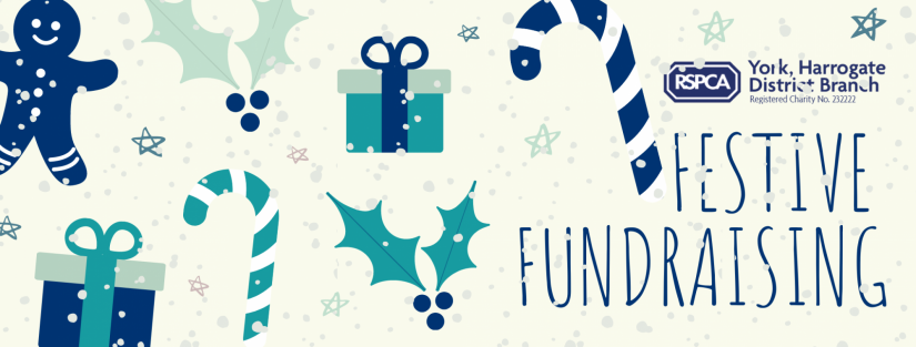 Festive Fundraising