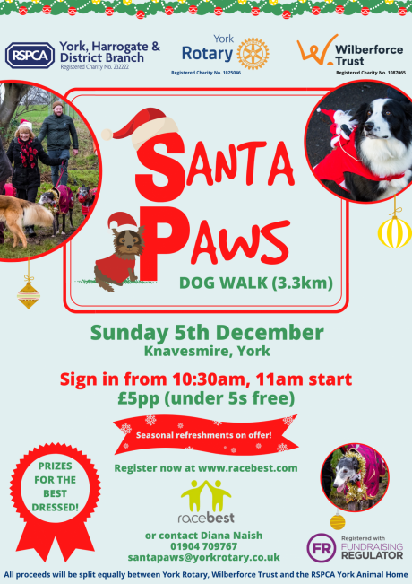 Santa Paws Dog Walk A4