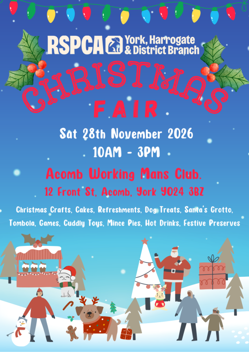 Christmas Market Poster (2026