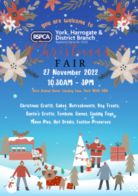 Christmas Market Poster