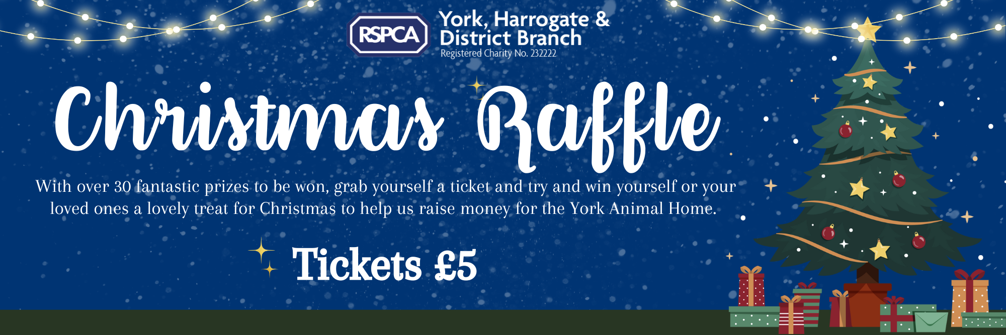 Website Banner Christmas Raffle Facebook Cover