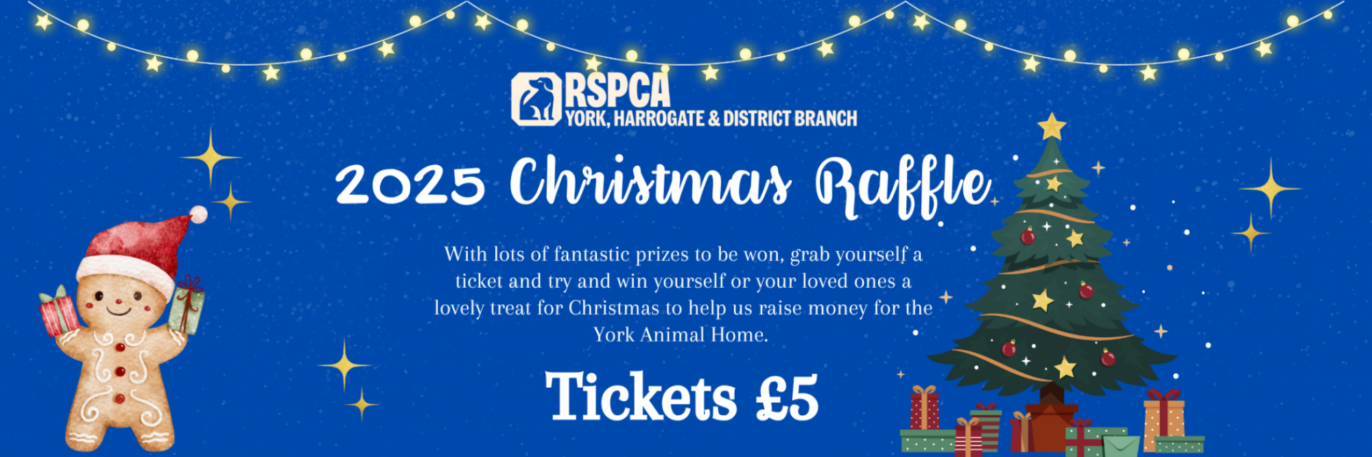 Xmas Raffle Website banner Template