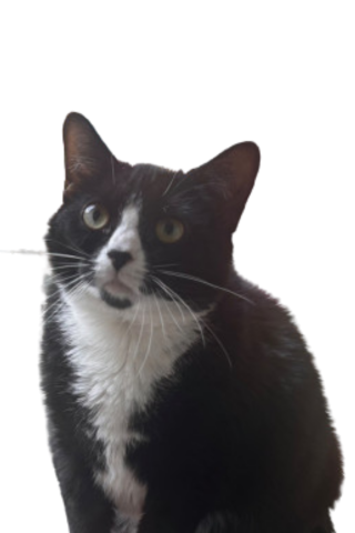 Smudge