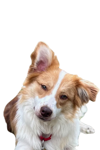 ben