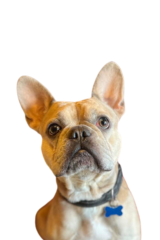 Milo