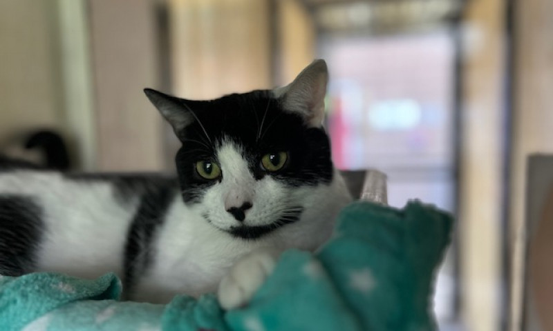 Luca (6)