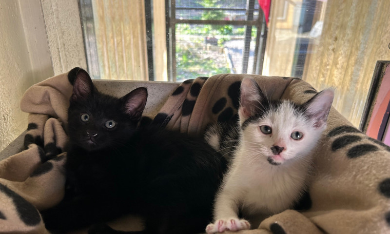 Dennis & Wendy (12)