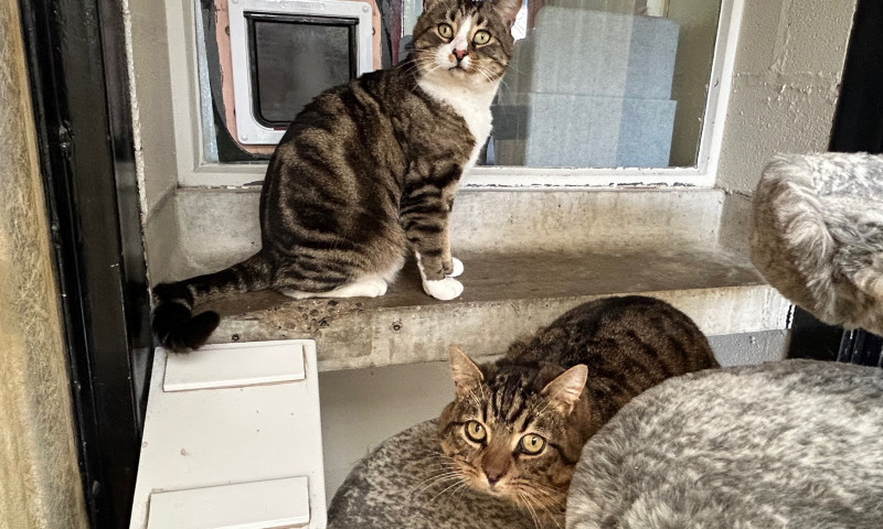 Buster & Luther (9)