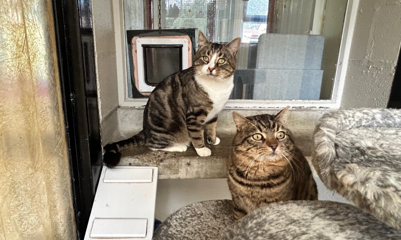 Buster & Luther (11)