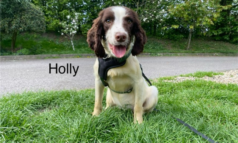 Holly (20)