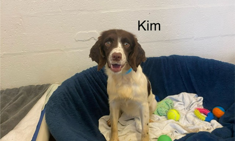 Kim (1)