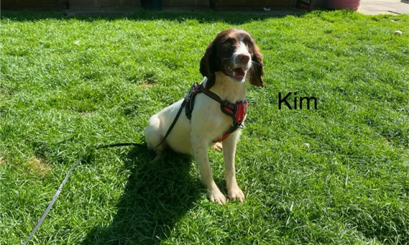 Kim (6)