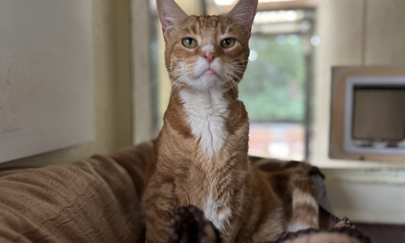 Kiki (14)