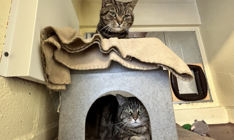 Marley & Robyn (18)