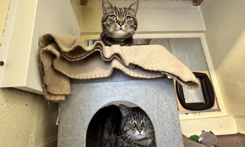 Marley & Robyn (20)