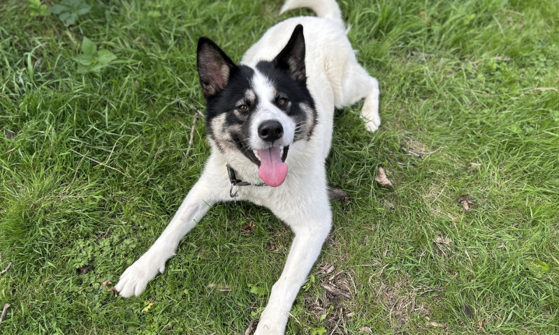 Cooper (10)