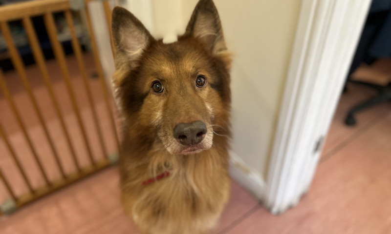 Rusty (3)