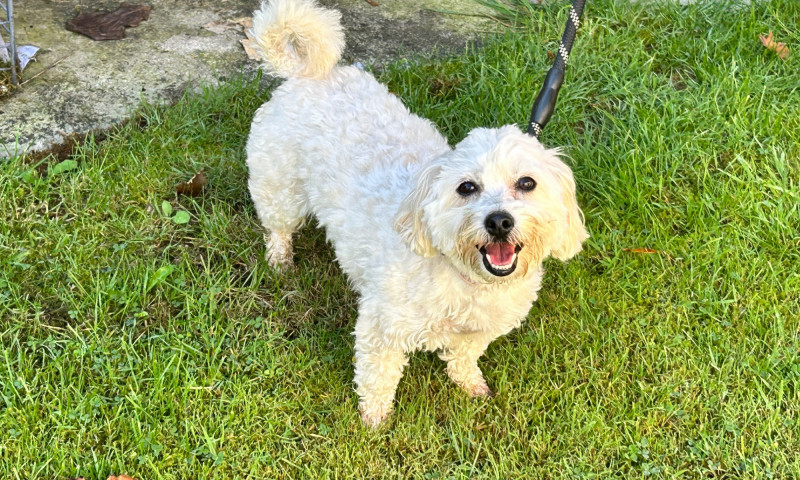 Mia (10)