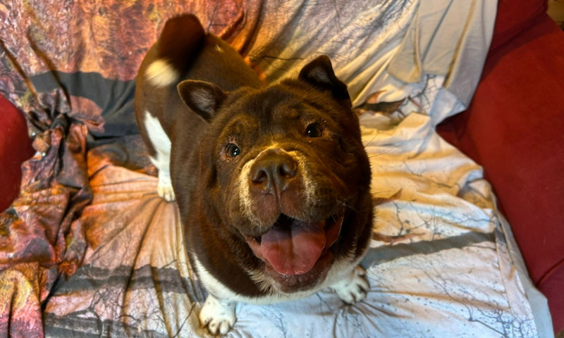Nora (3)