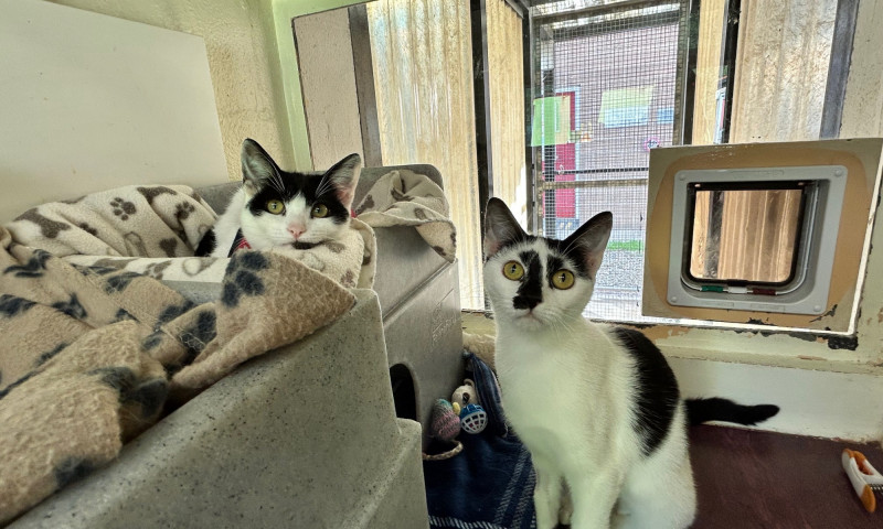 Maggie & Bertha (4)
