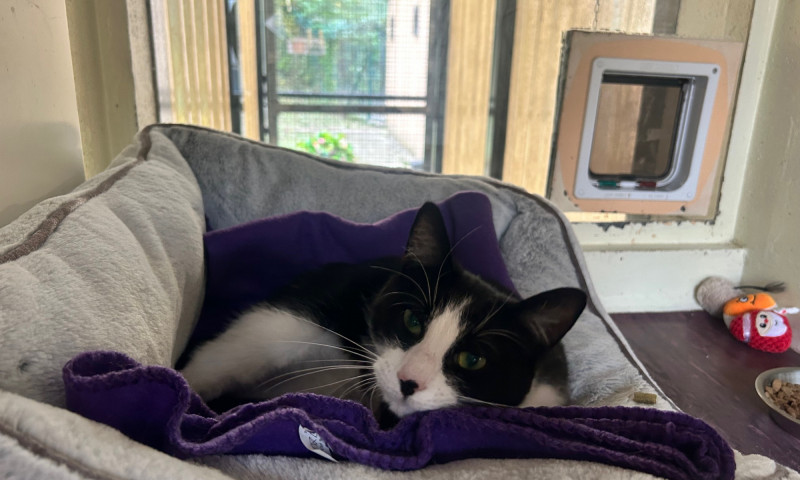 Tiny (12)