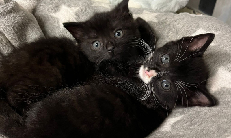 16017572-be50-40fa-85b6-160769622d91