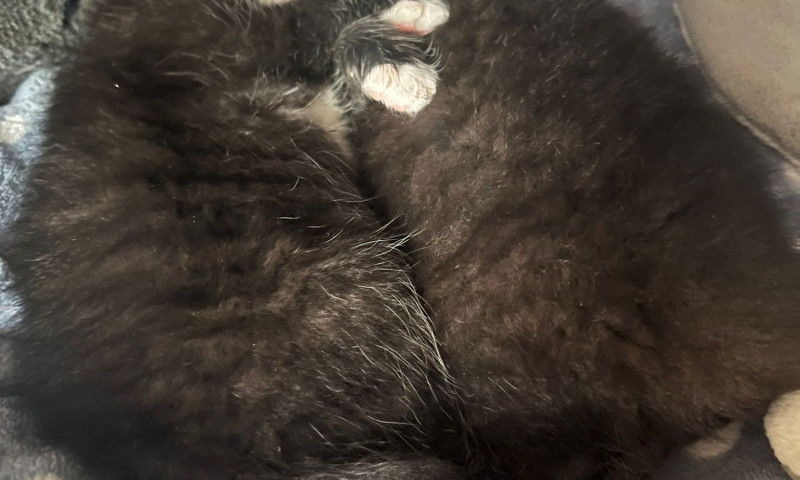 ce2e9358-4819-45d9-8ce9-4d1fa6ff2f3d