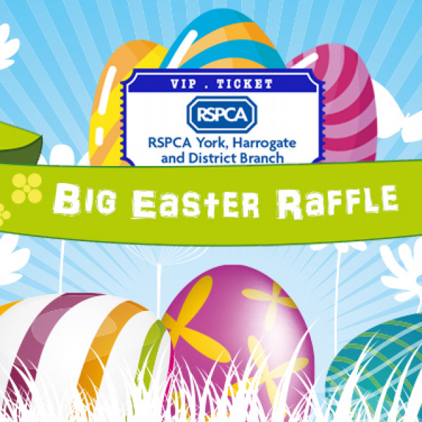 Easter Raffle Banner