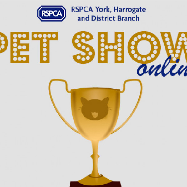 Pet Show Banner2