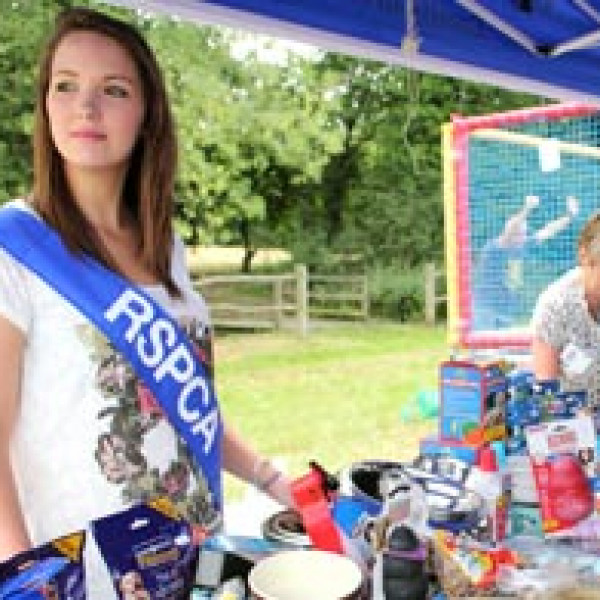 Volunteer working on a fundraising stall at dog show © Becky Murray RSPCA photolibrary (1)