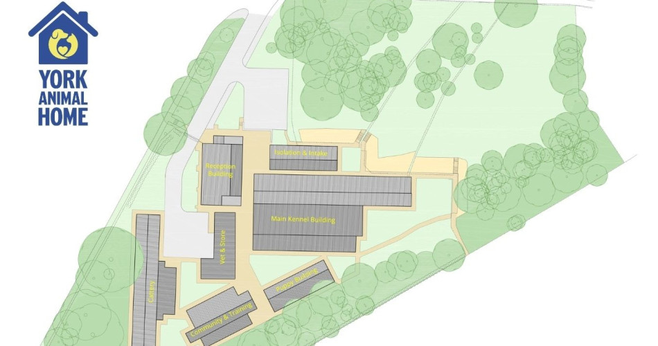 York Animal home Plan