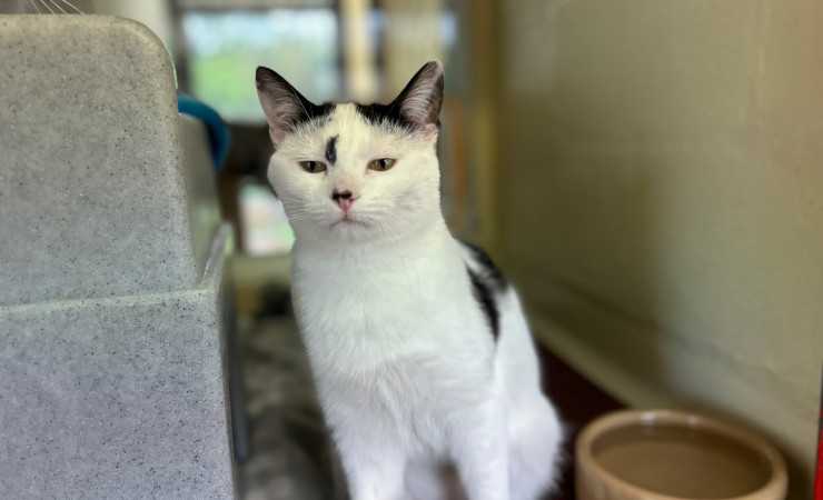 Dotty & Princess (7)