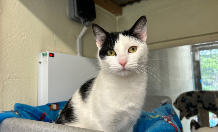 Dotty & Princess (8)