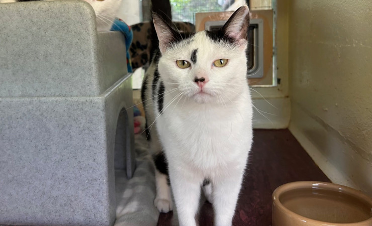 Dotty & Princess (9)