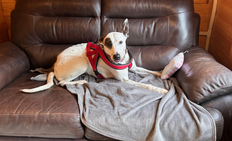 Penny (10)