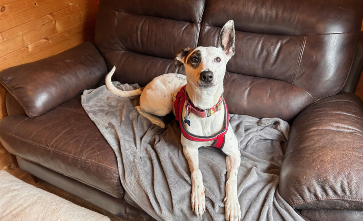 Penny (5)