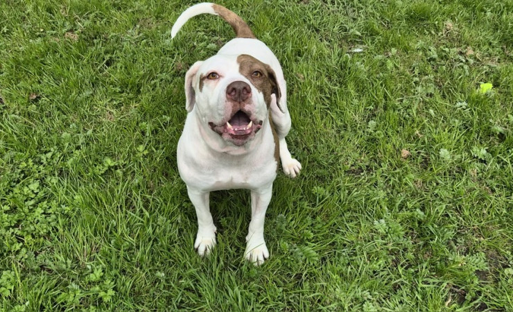 Bonnie (1)