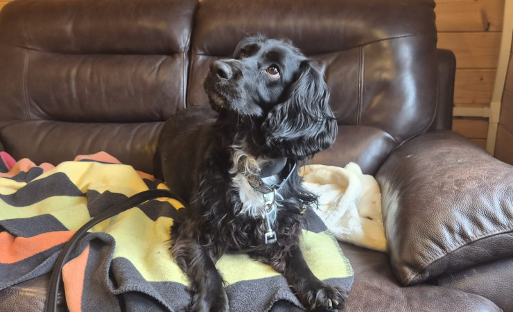 Milo (2)
