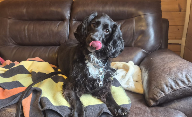 Milo (3)