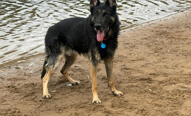 Wally (2)