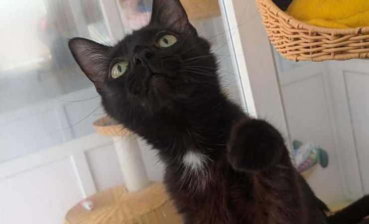 Sabrina