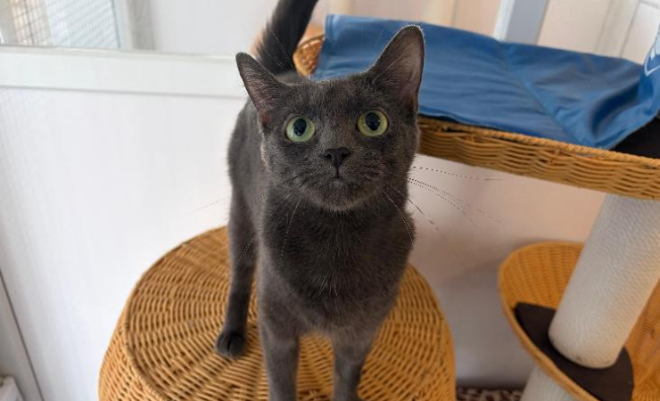 Luna