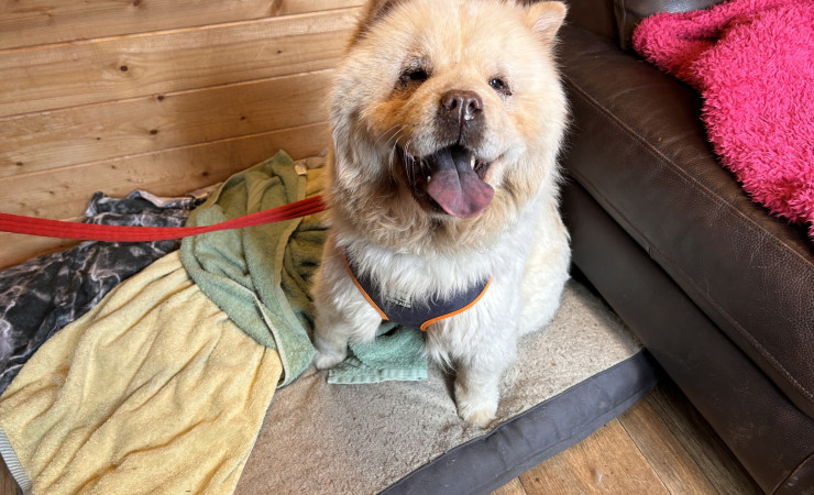 Coco (2)