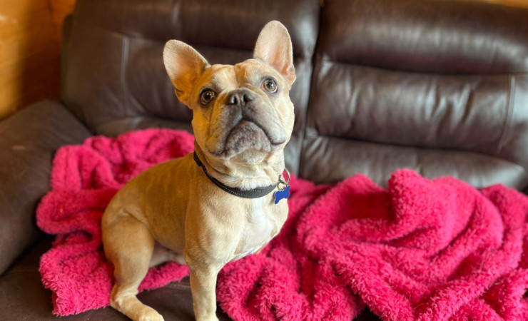 Milo (6)