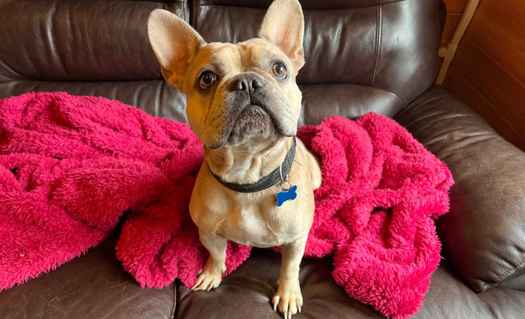Milo (5)