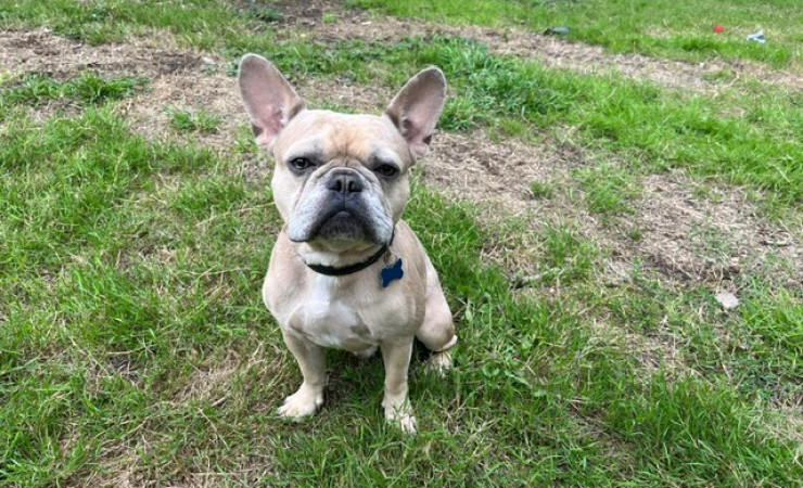 Milo