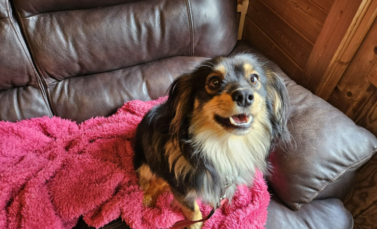 Finn (3)