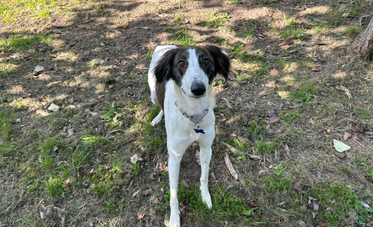 Max (1)