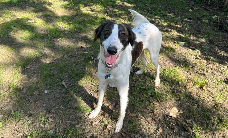 Max (4)