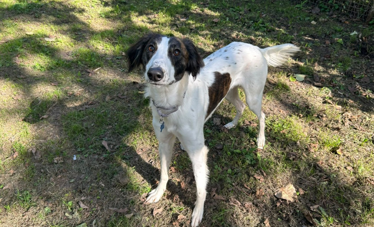 Max (5)